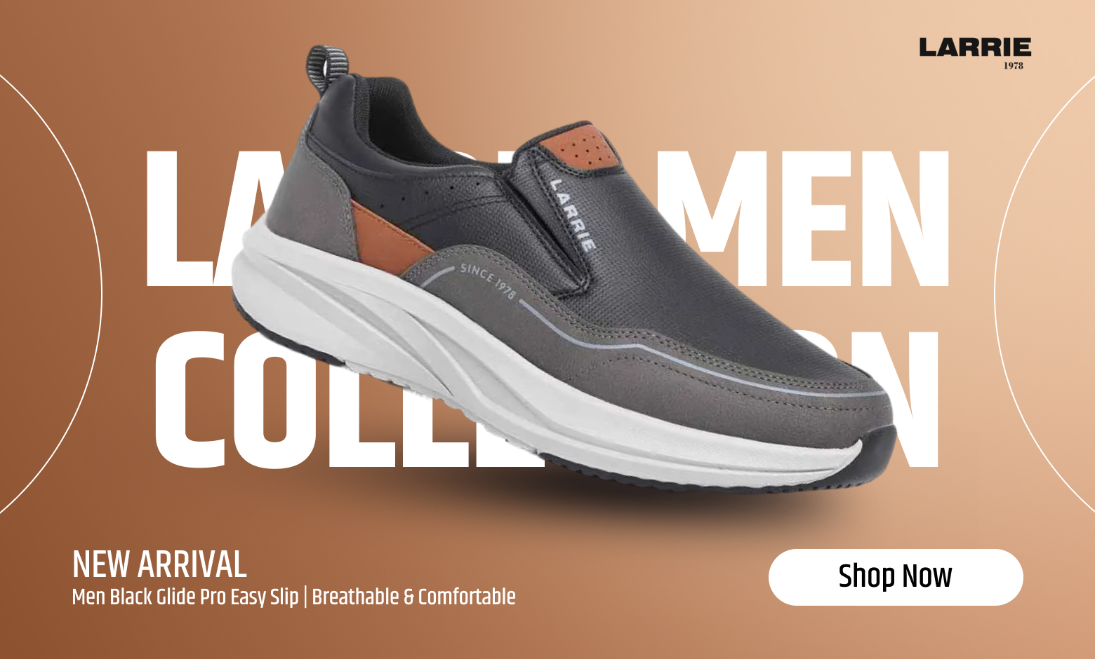 Larrie Banner 03 (1)